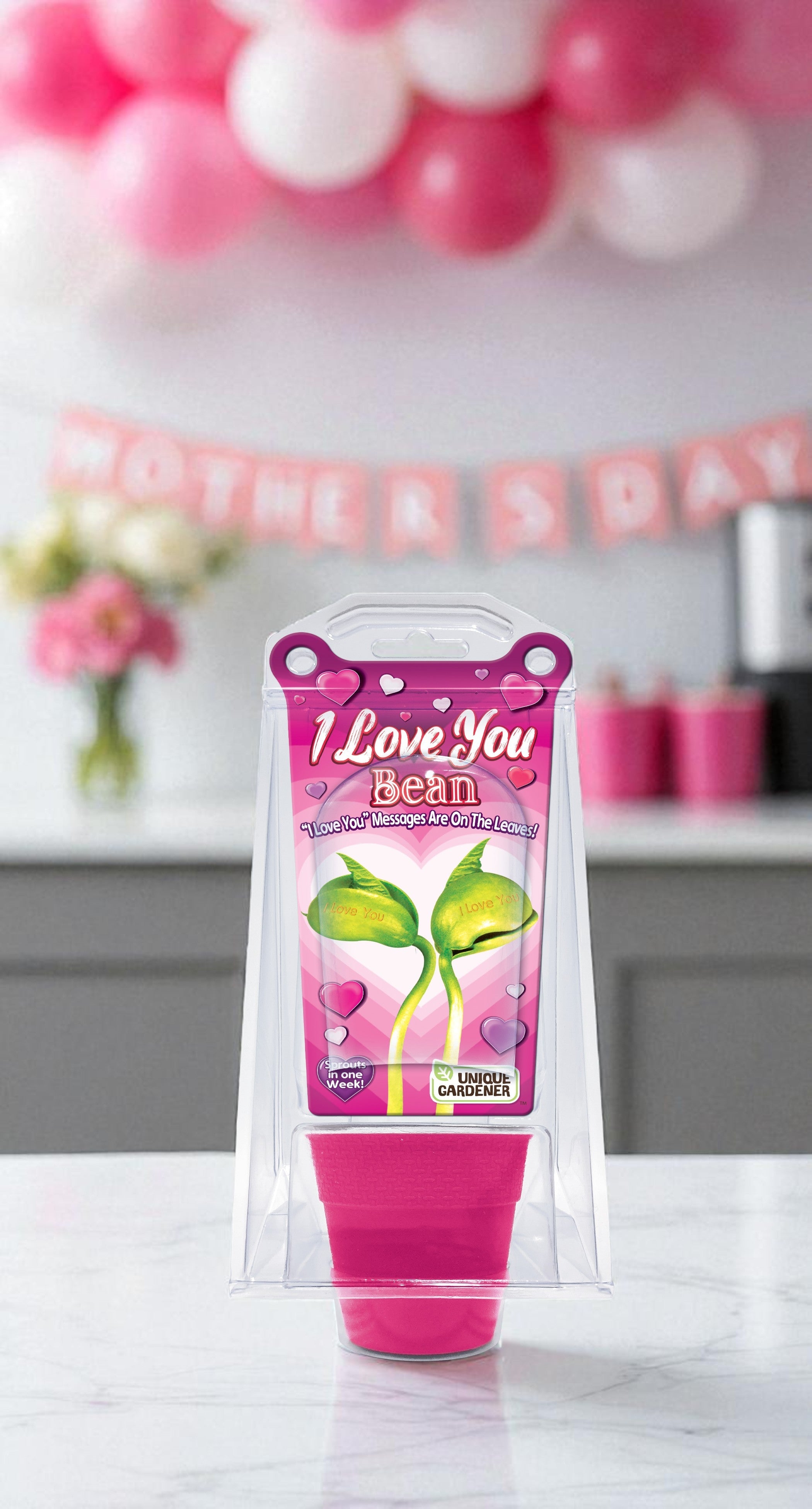 "I Love You" Bean Terrarium